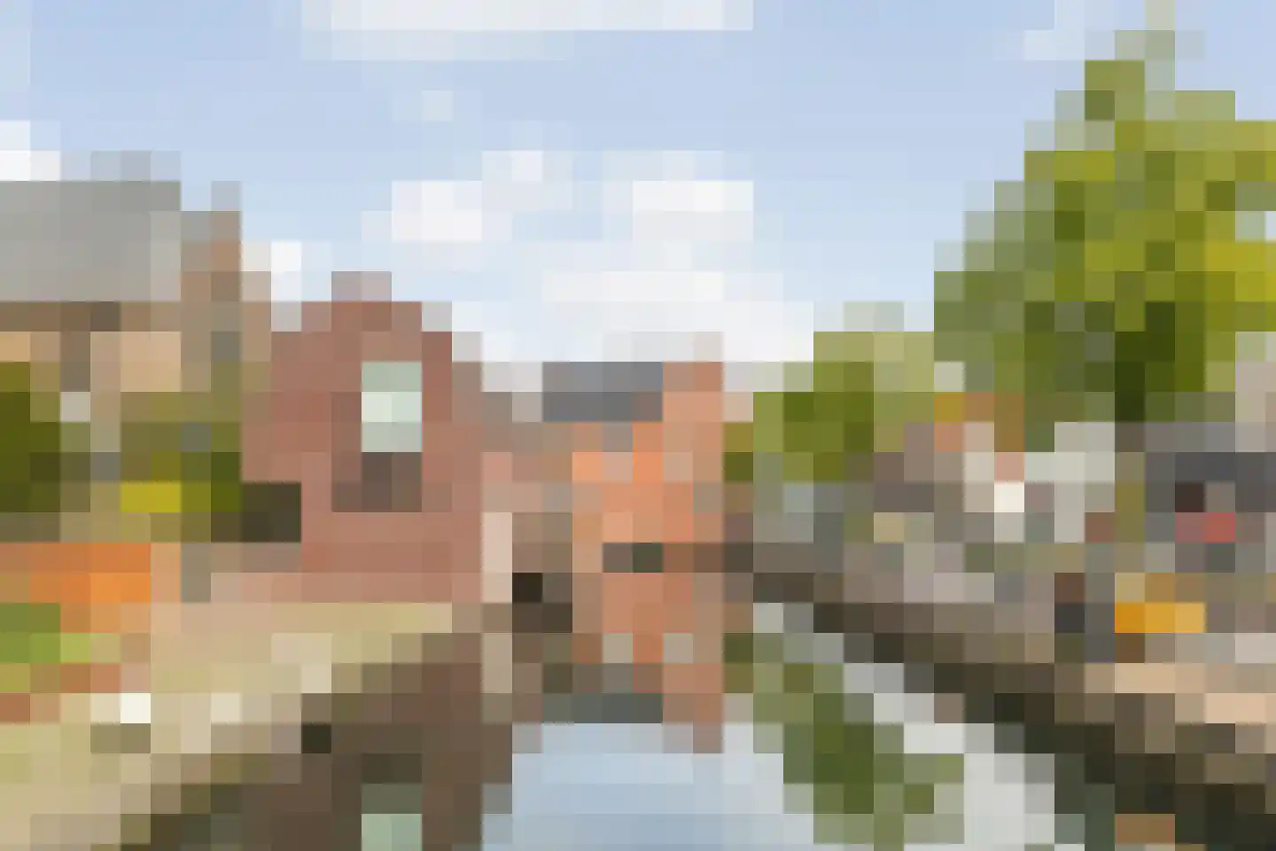 Karel Doormanstraat 23 Oud-Beijerland thumbnail 39