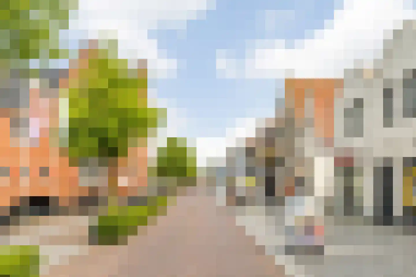Karel Doormanstraat 23 Oud-Beijerland thumbnail 41