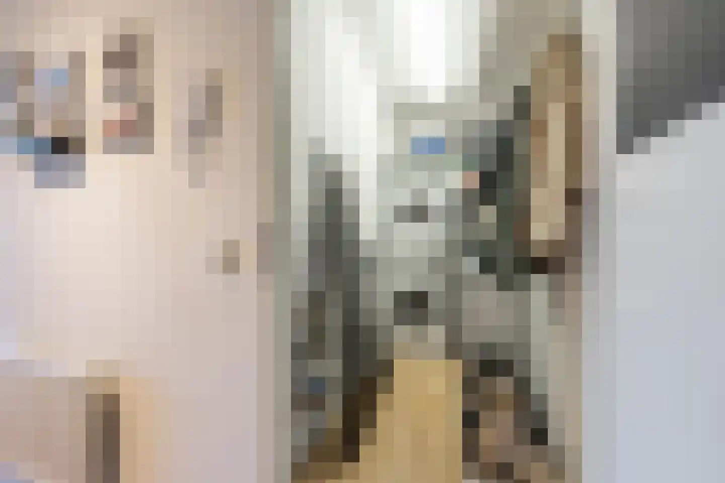 Karel Doormanstraat 291 B Rotterdam thumbnail 21