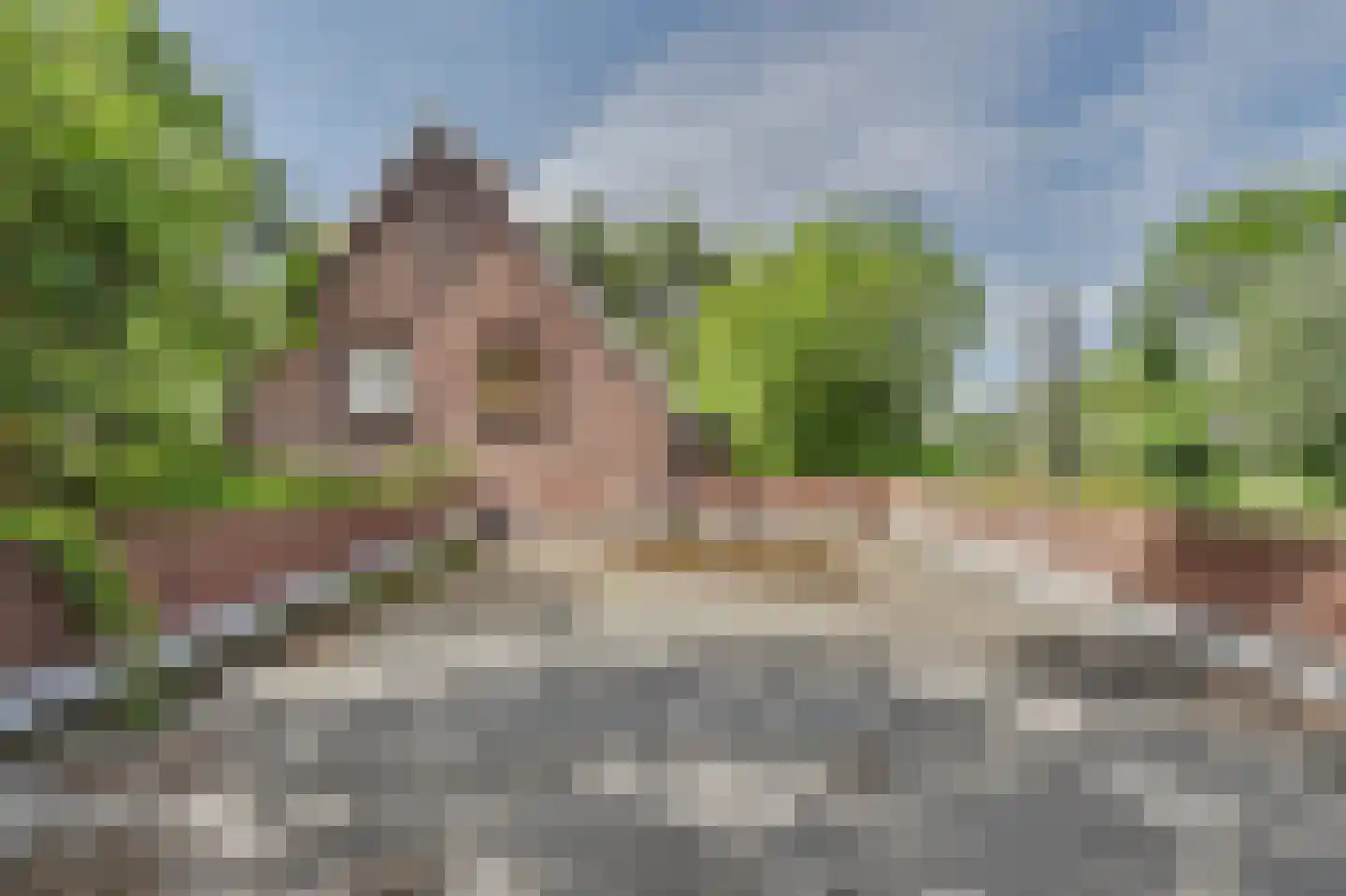 Karel Doormanstraat 3 Spijkenisse thumbnail 8