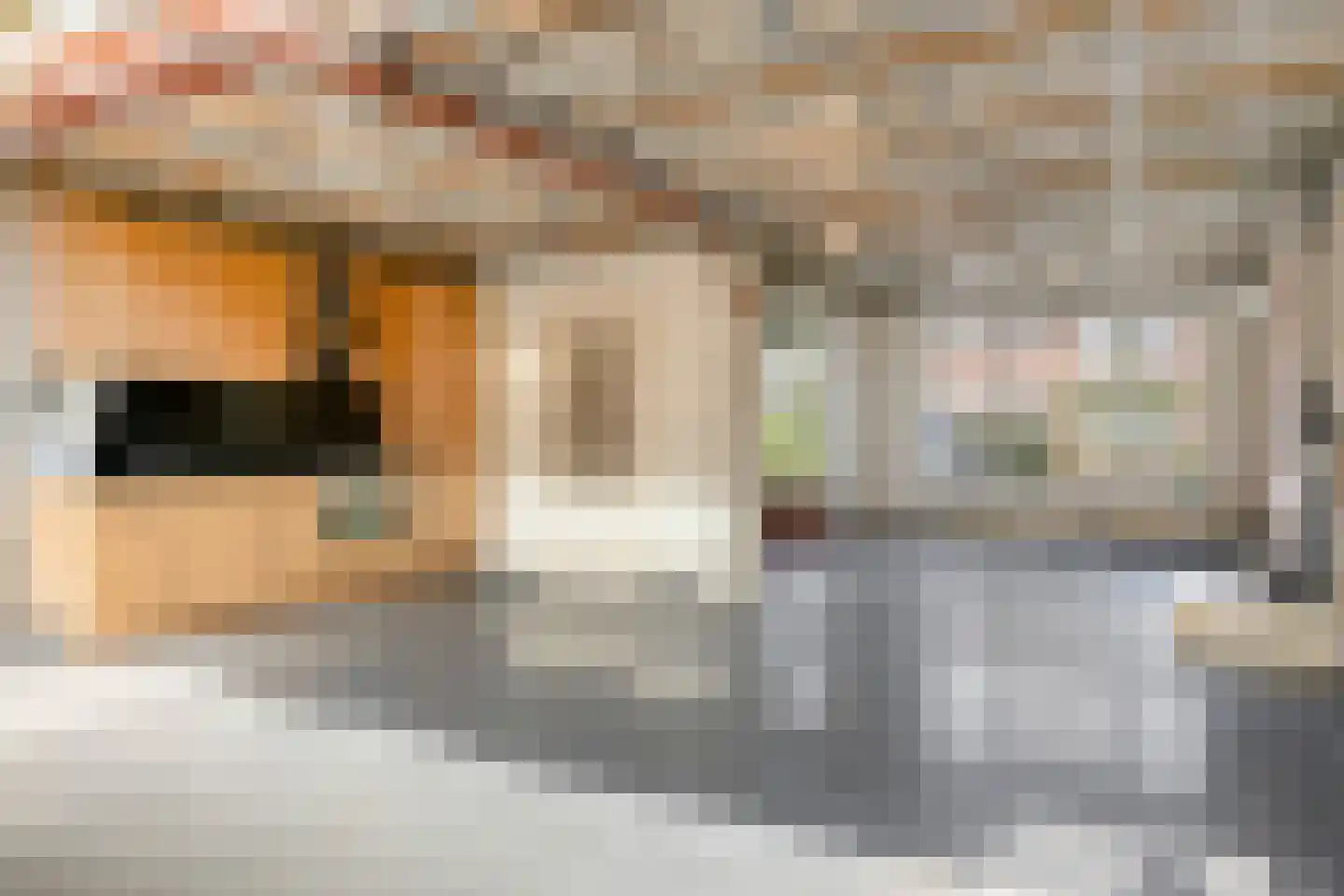 Karel Doormanstraat 30 Geldrop thumbnail 8