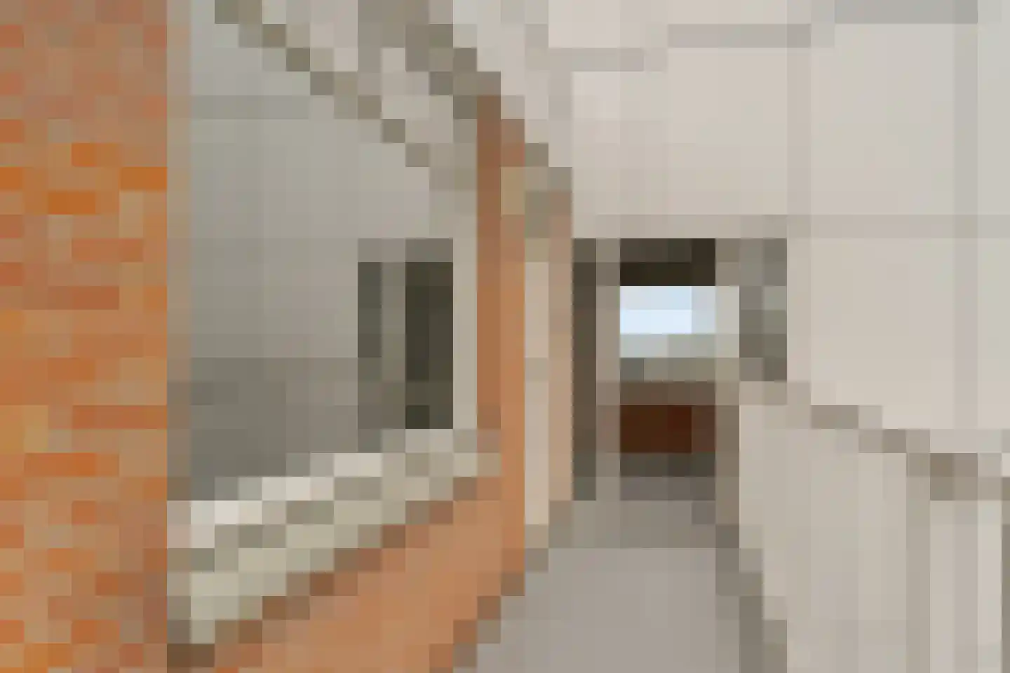 Karel Doormanstraat 313 A Rotterdam thumbnail 25