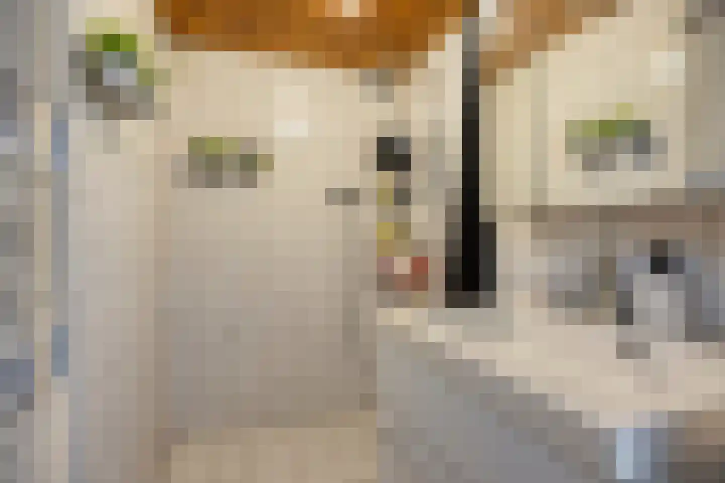 Karel Doormanstraat 34 Roermond thumbnail 21