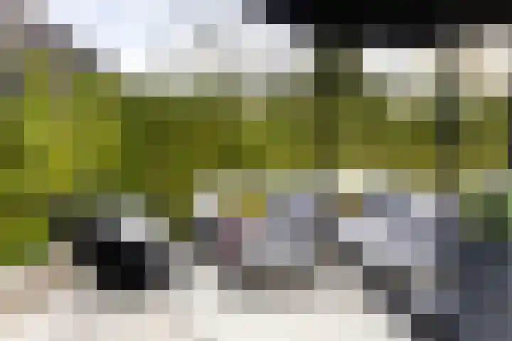 Karel Doormanstraat 35 Kloosterzande thumbnail 36