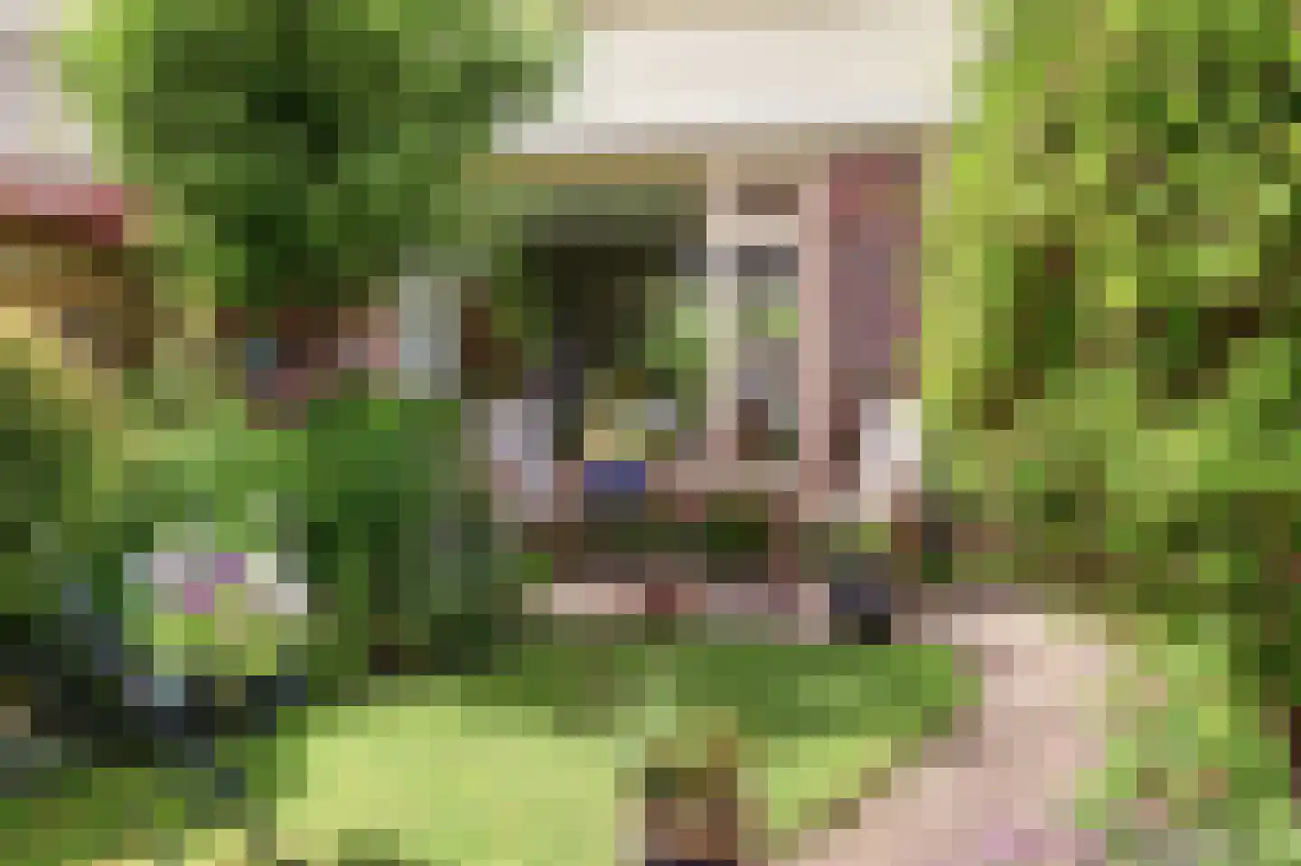 Karel Doormanstraat 37 Bodegraven thumbnail 32