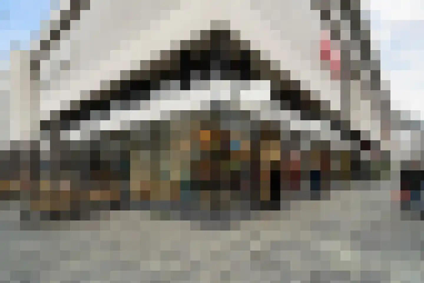 Karel Doormanstraat 386 N Rotterdam thumbnail 48