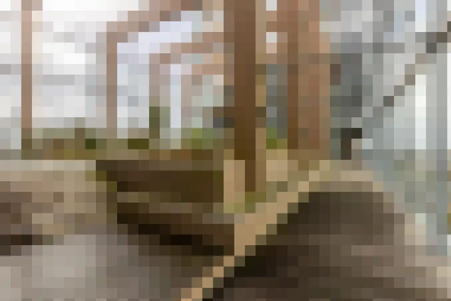 Karel Doormanstraat 392 A Rotterdam thumbnail 25