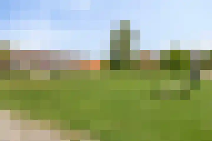 Karel Doormanstraat 4 Bedum thumbnail 32