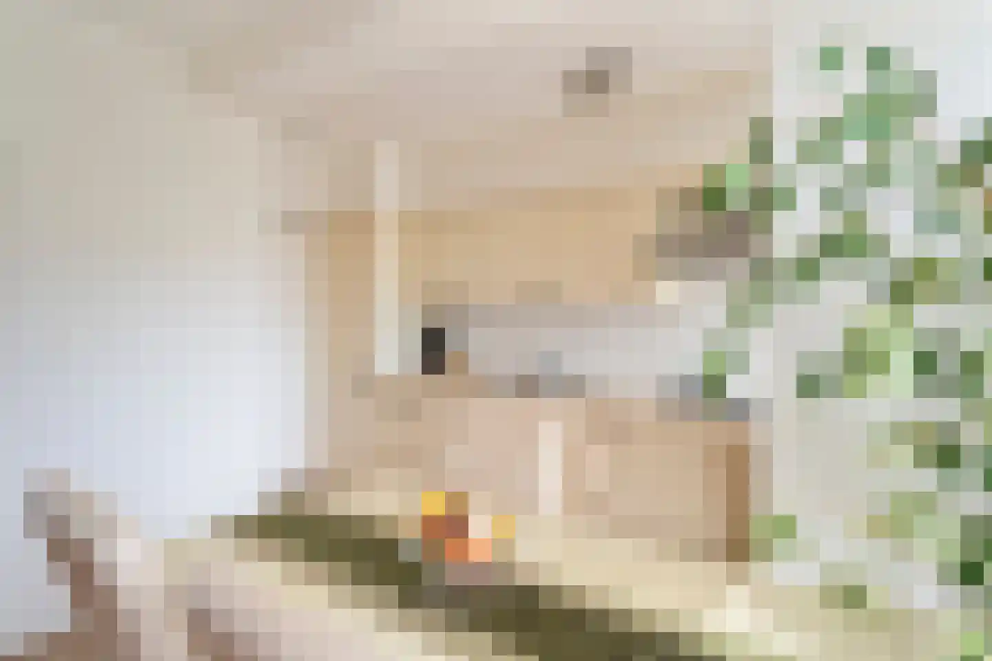 Karel Doormanstraat 4 F 6 Zandvoort thumbnail 33