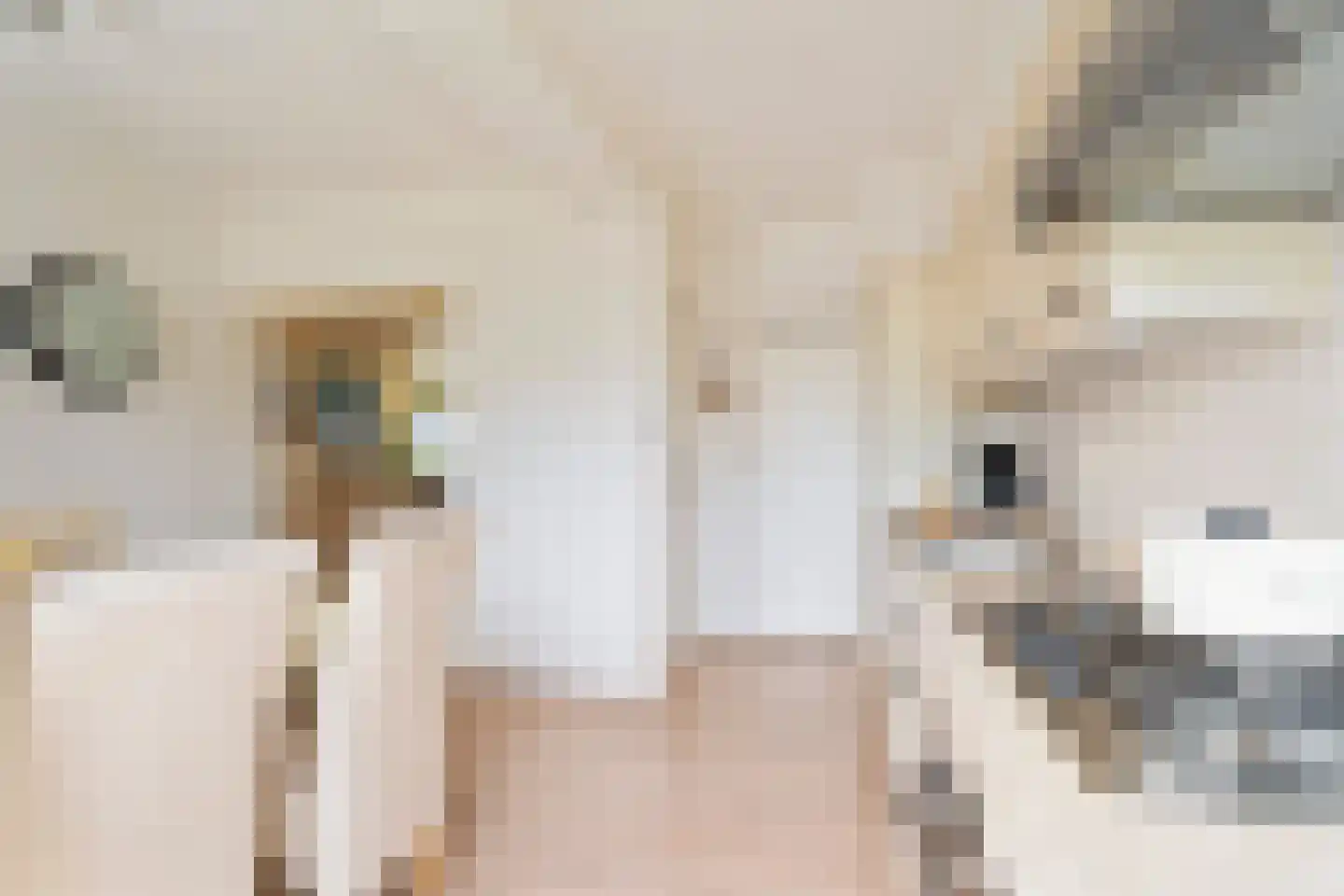 Karel Doormanstraat 4 F 6 Zandvoort thumbnail 34