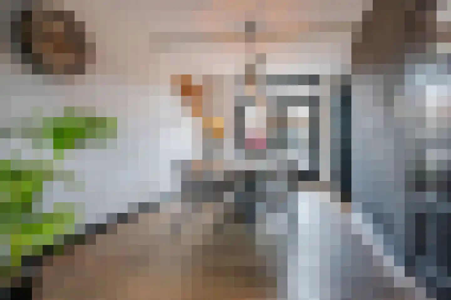 Karel Doormanstraat 4 Veghel thumbnail 10