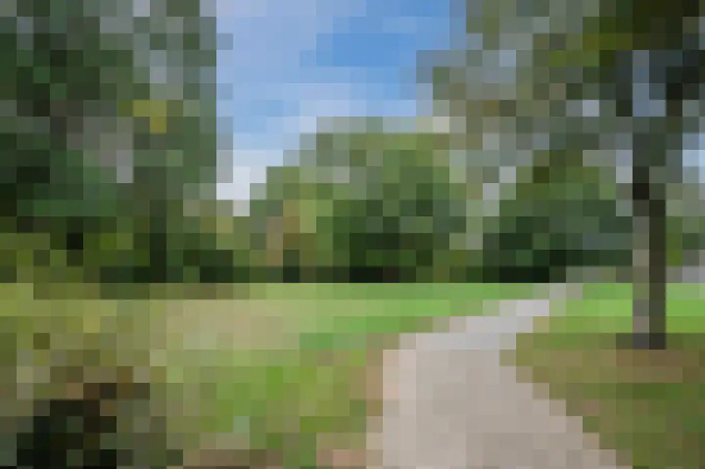 Karel Doormanstraat 4 Veghel thumbnail 35