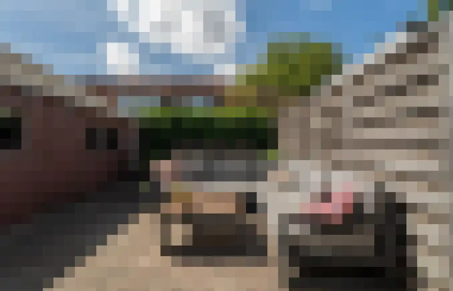 Karel Doormanstraat 44 Spijkenisse thumbnail 5