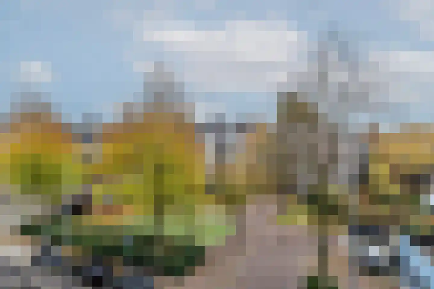 Karel Doormanstraat 445 B Rotterdam thumbnail 34
