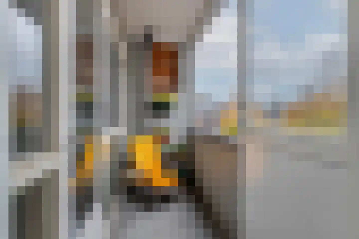 Karel Doormanstraat 445 C Rotterdam thumbnail 15