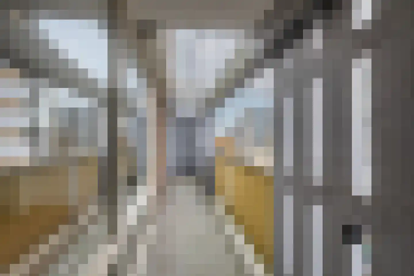 Karel Doormanstraat 445 C Rotterdam thumbnail 33