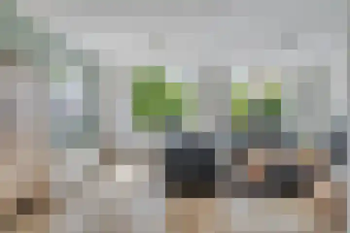 Karel Doormanstraat 51 Dinteloord thumbnail 5