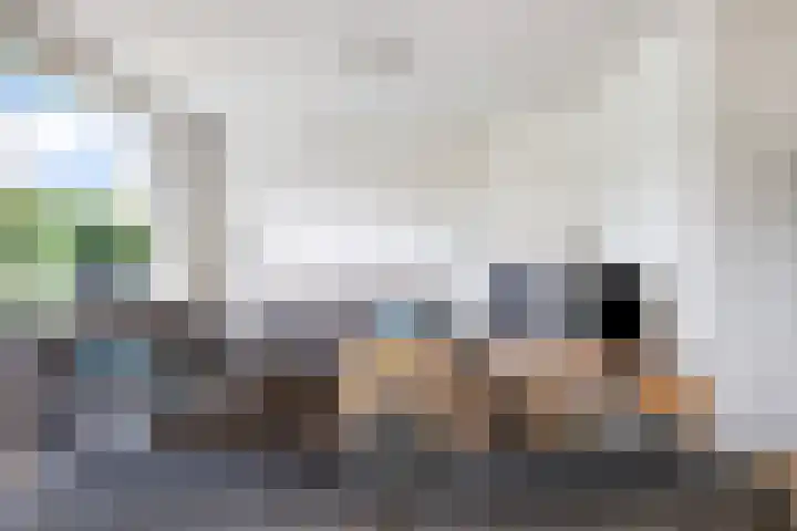 Karel Doormanstraat 51 Dinteloord thumbnail 6