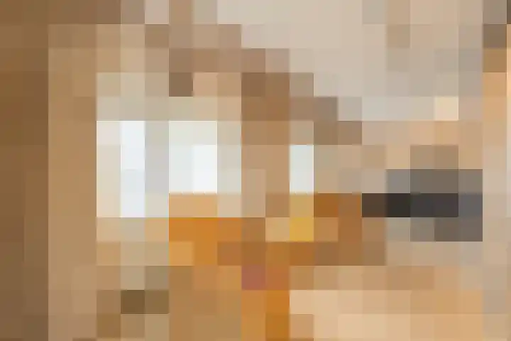 Karel Doormanstraat 62 Oud-Beijerland thumbnail 31