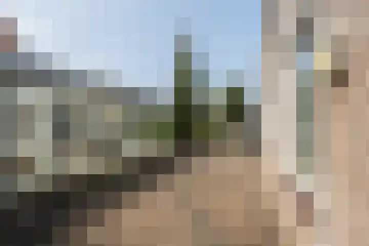 Karel Doormanstraat 62 Oud-Beijerland thumbnail 43