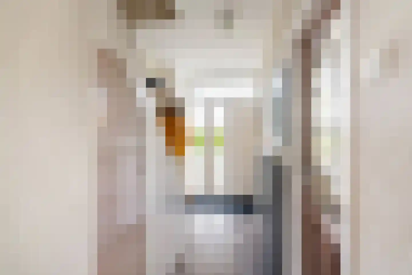 Karel Doormanstraat 7 Haastrecht thumbnail 12