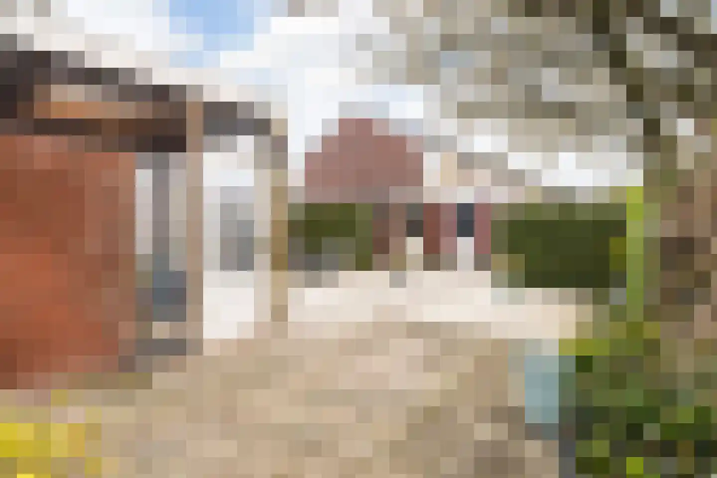 Karel Doormanstraat 7 Haastrecht thumbnail 28