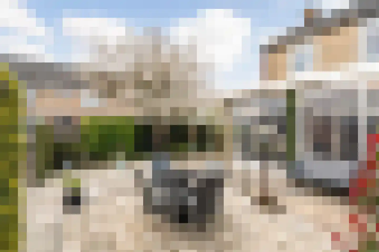 Karel Doormanstraat 7 Haastrecht thumbnail 31