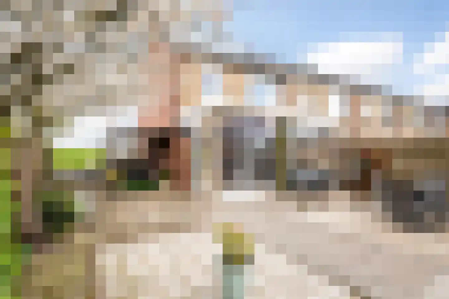 Karel Doormanstraat 7 Haastrecht thumbnail 32