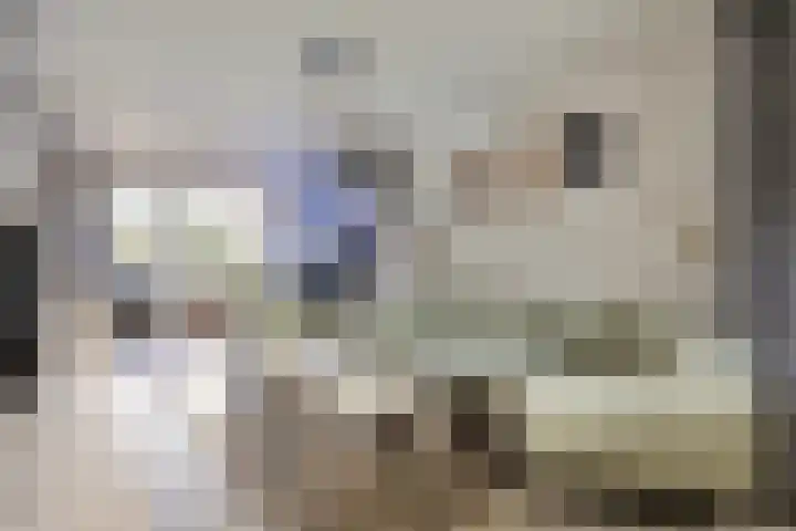 Karel Doormanstraat 77 Oss thumbnail 8