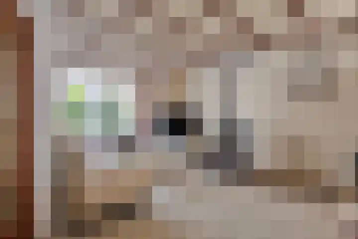 Karel Doormanstraat 79 Oss thumbnail 5