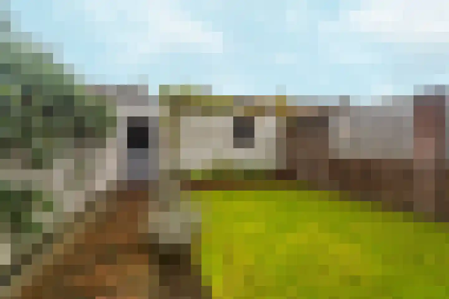 Karel Doormanstraat 79 Schijndel thumbnail 31