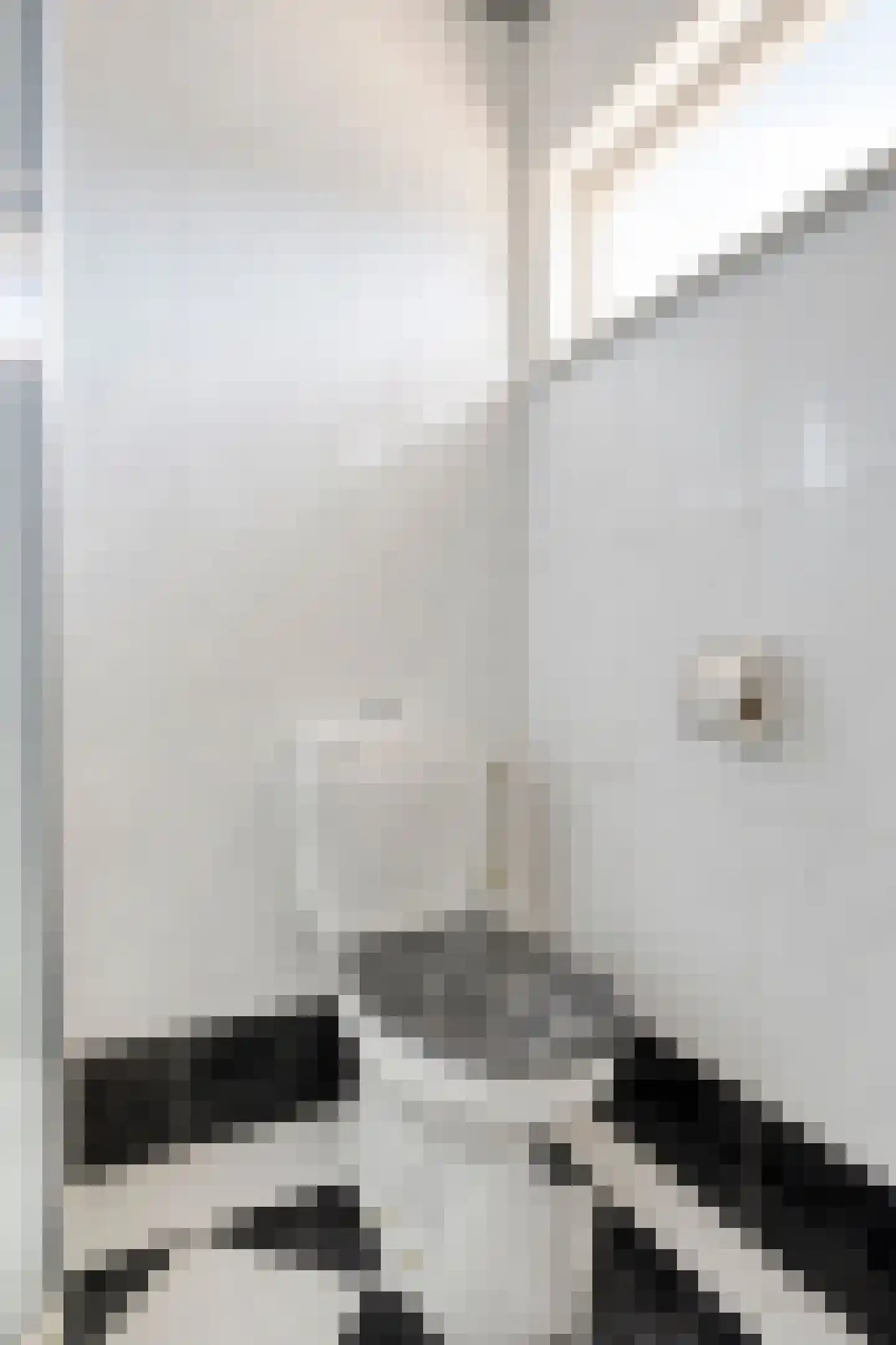 Karel Doormanstraat 9 Geldrop thumbnail 22