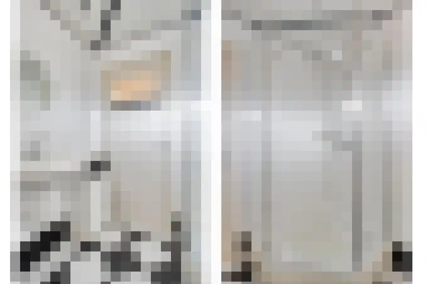 Karel Doormanstraat 9 Geldrop thumbnail 23