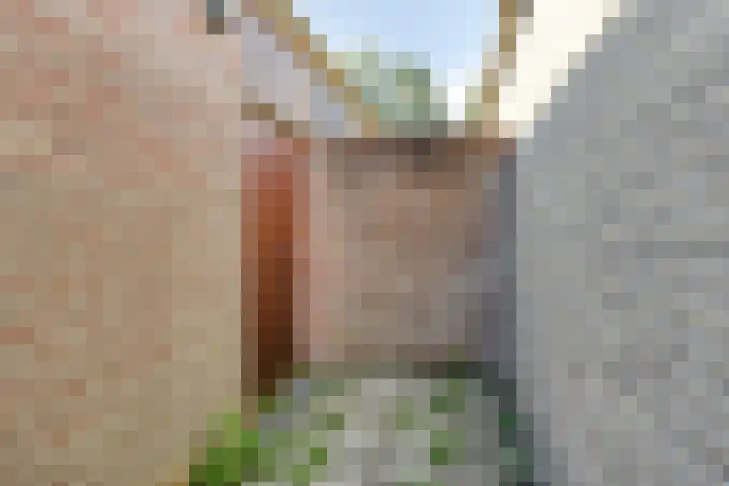 Karel Doormanstraat 9 Geldrop thumbnail 33