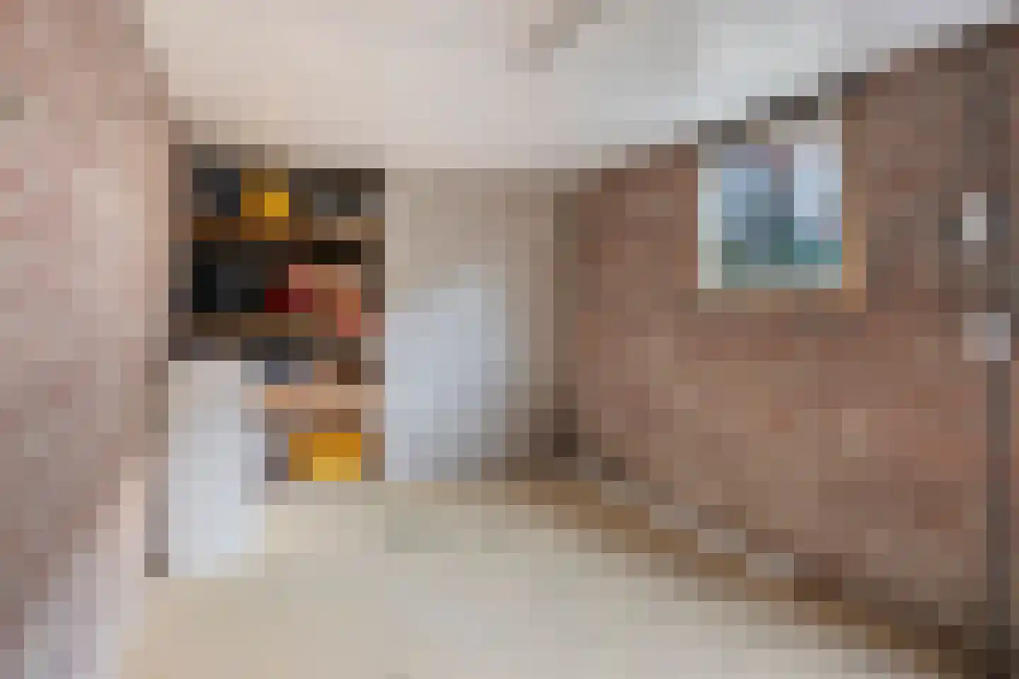 Karel Doormanstraat 9 Geldrop thumbnail 35
