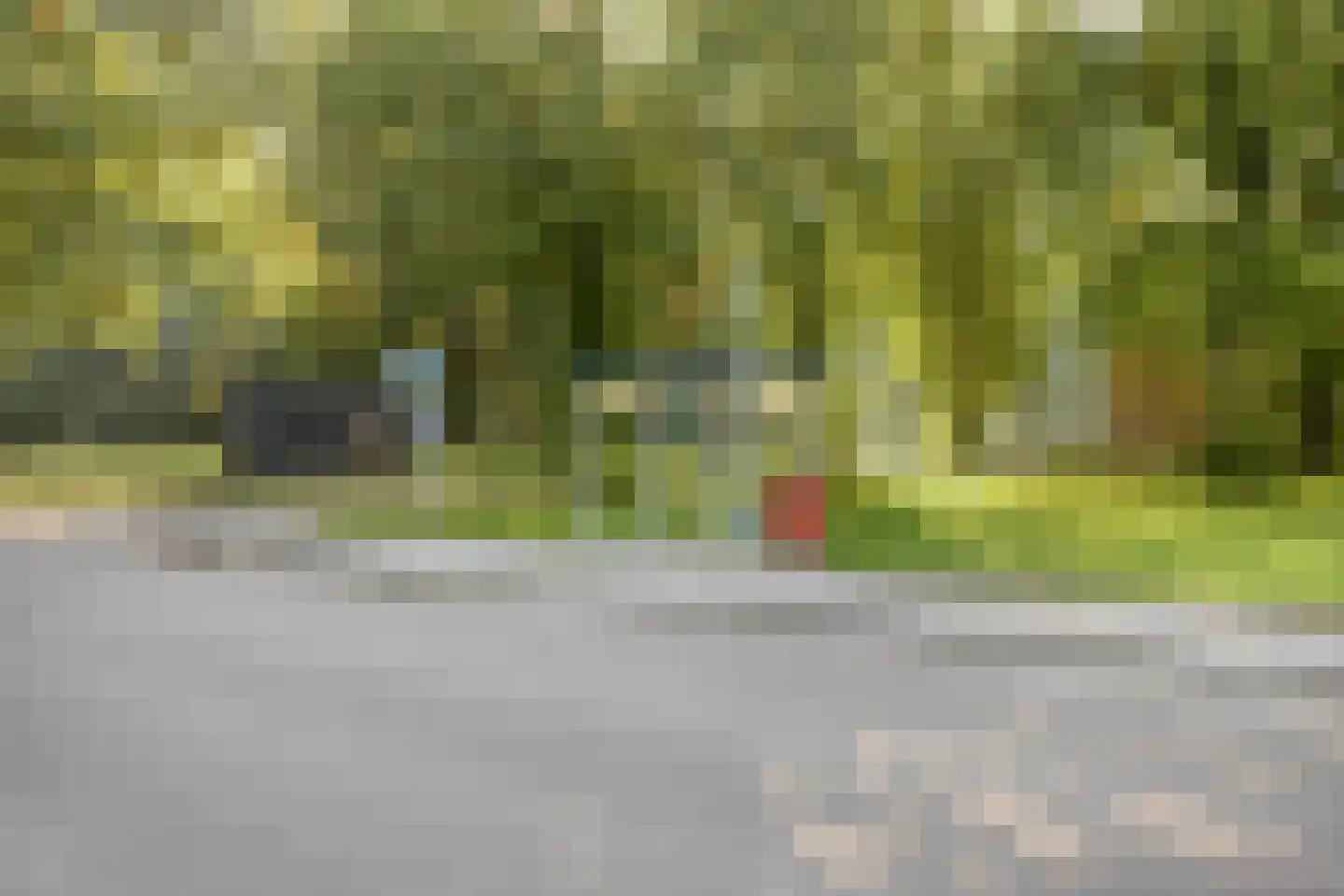 Karel Doormanstraat 9 Geldrop thumbnail 38