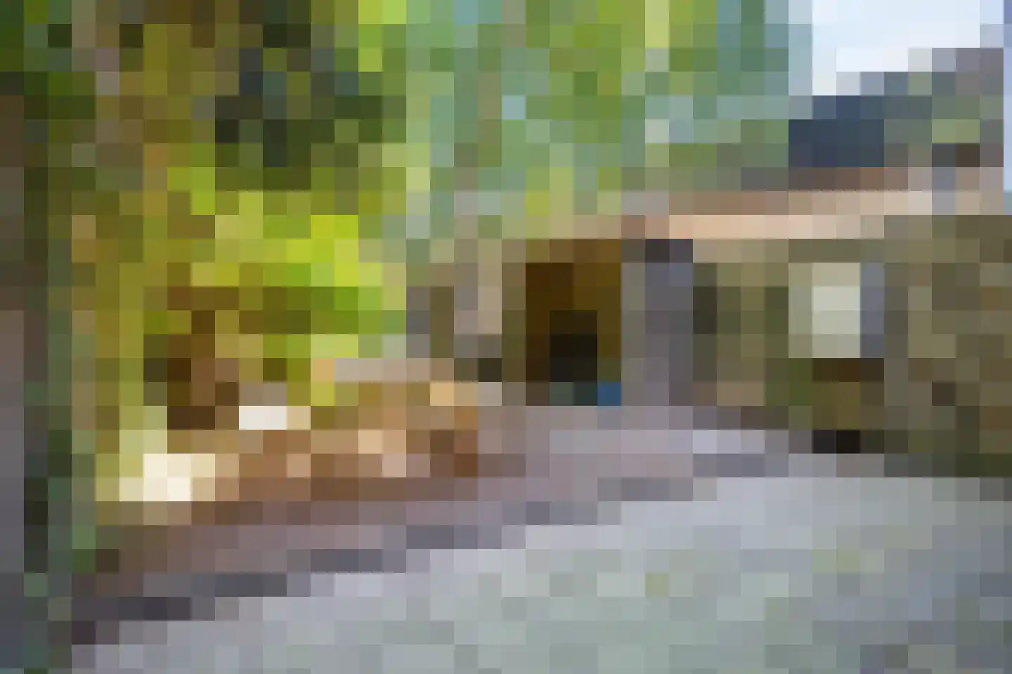 Karel Doormanweg 12 Breukelen thumbnail 32