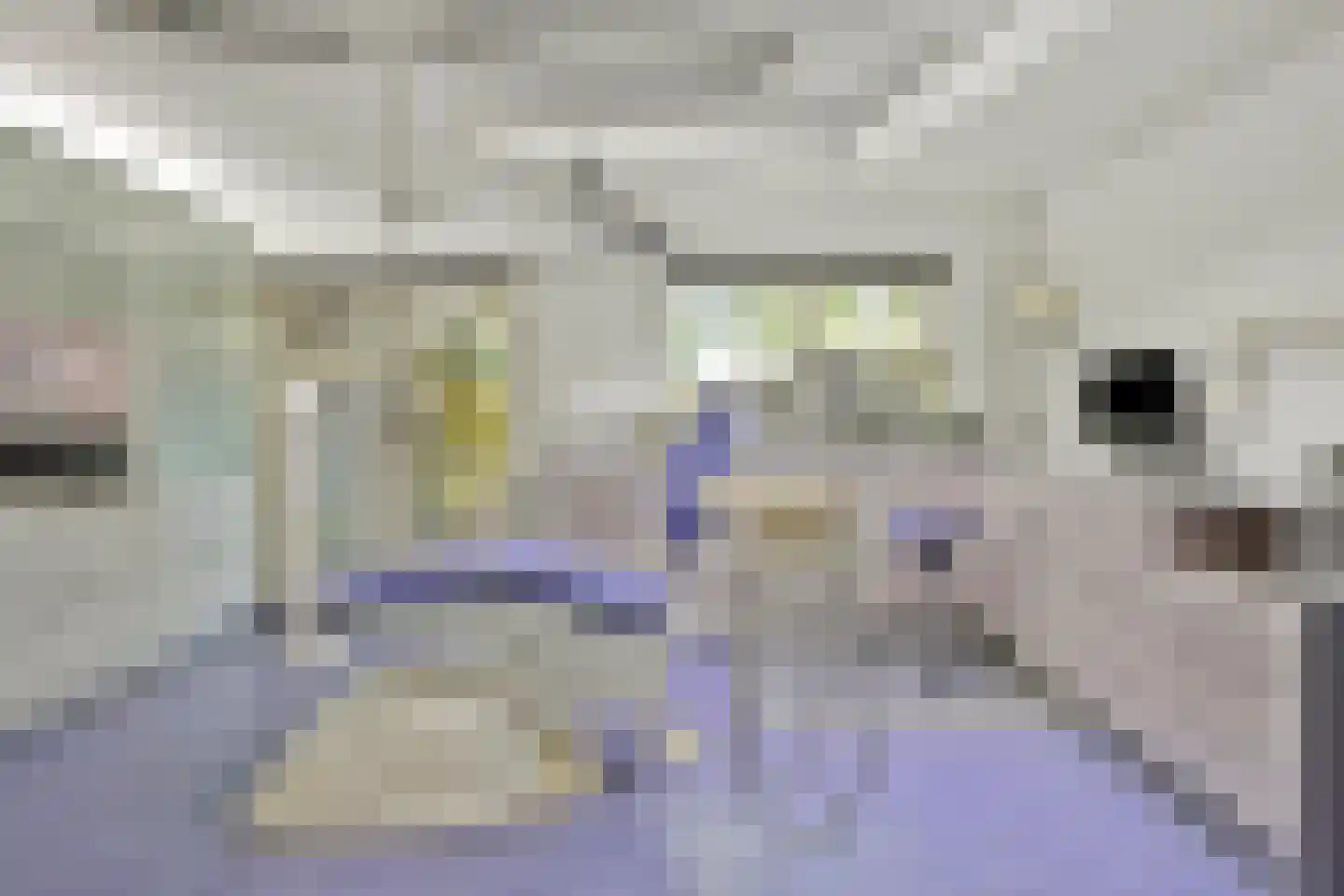 Karel Doormanweg 12 Breukelen thumbnail 7