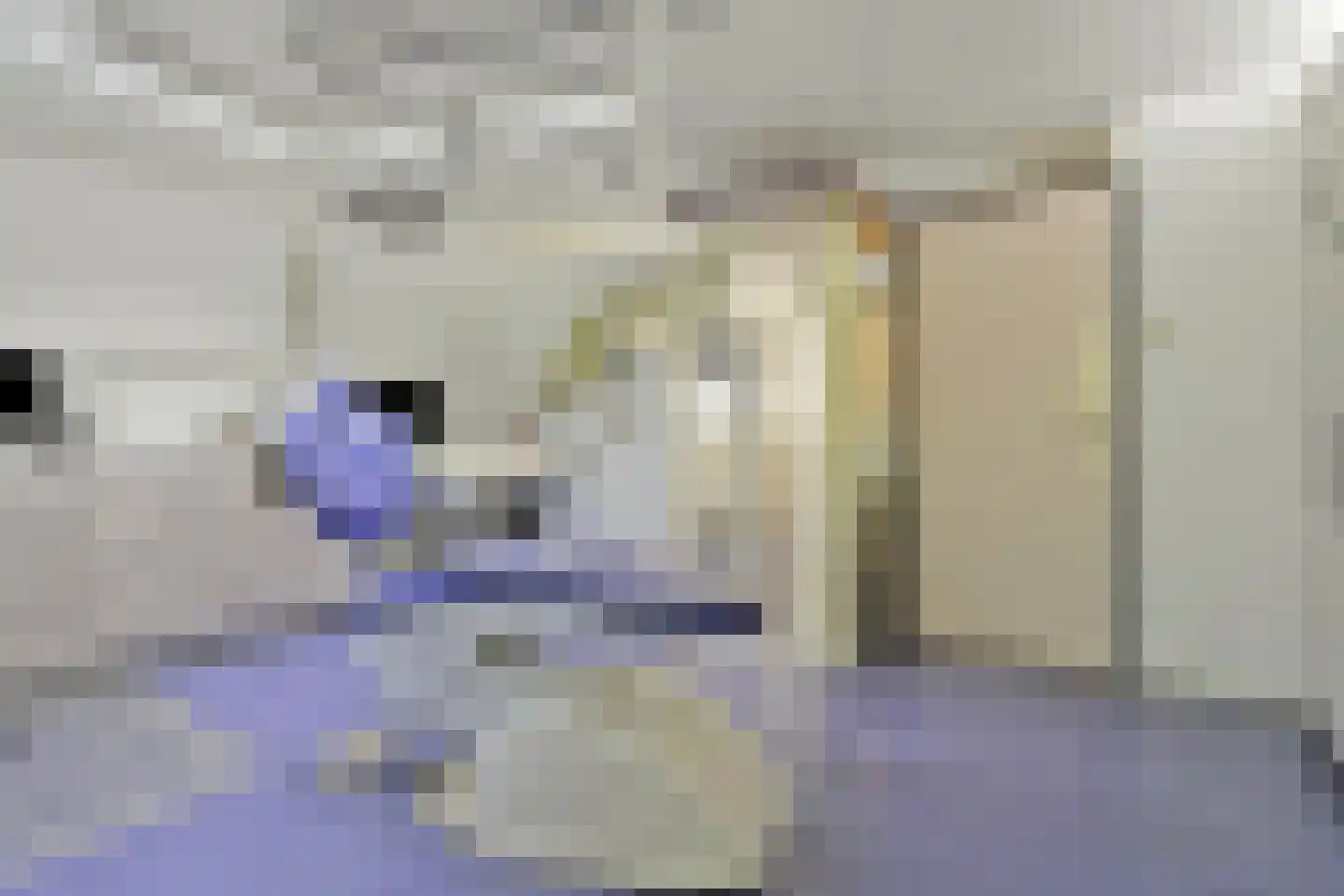 Karel Doormanweg 12 Breukelen thumbnail 8