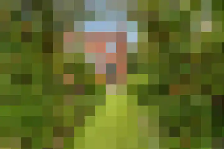 Karel Doormanweg 17 Ter Heijde thumbnail 4