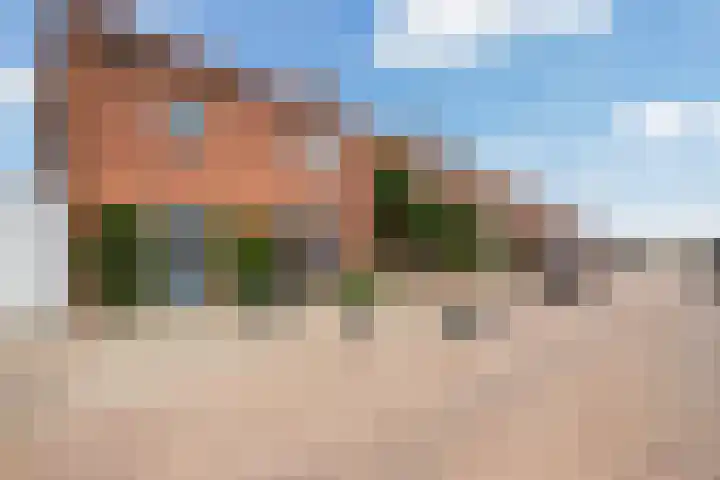 Karel Doormanweg 17 Ter Heijde thumbnail 64