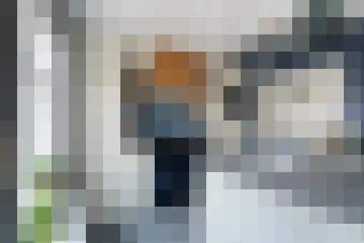 Karel Doormanweg 21 Ter Heijde thumbnail 11