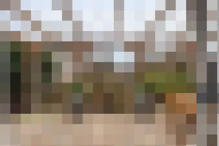 Karel Doormanweg 21 Ter Heijde thumbnail 19