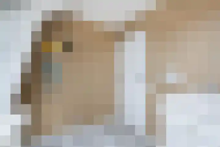 Karel Doormanweg 21 Ter Heijde thumbnail 30