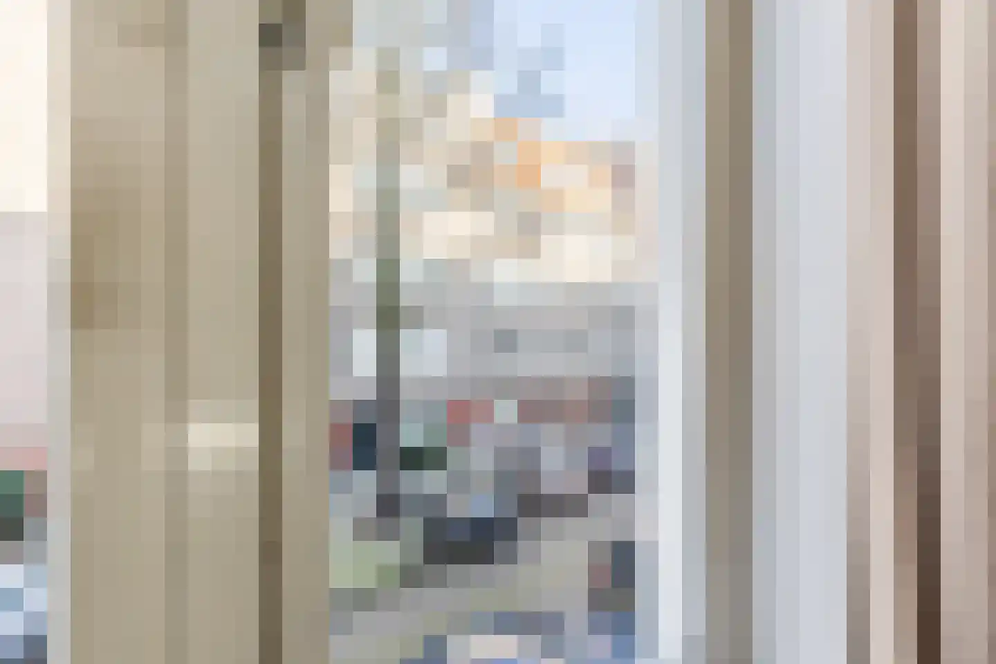 Karel du Jardinstraat 14 H Amsterdam thumbnail 14