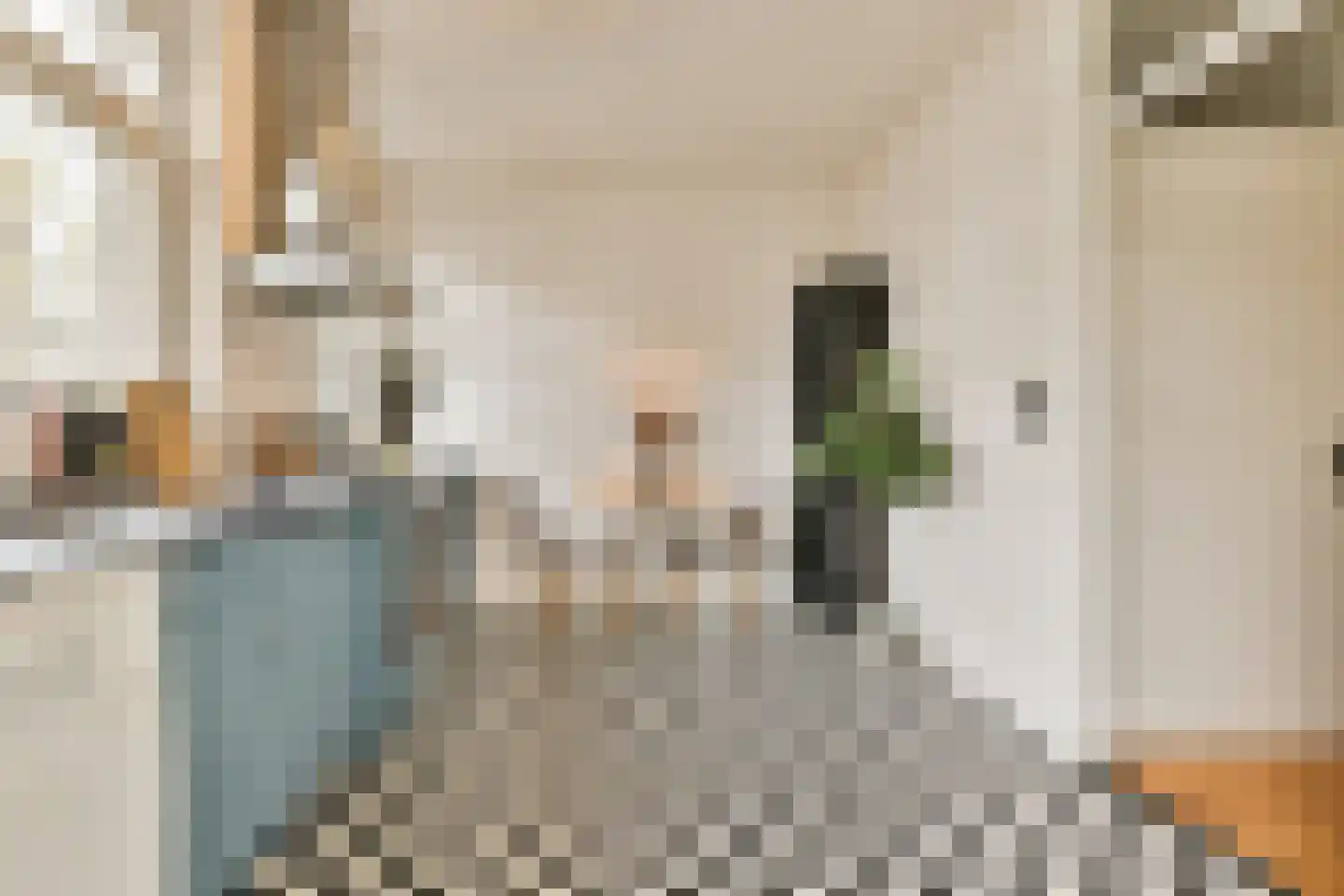 Karel du Jardinstraat 15 1 Amsterdam thumbnail 8