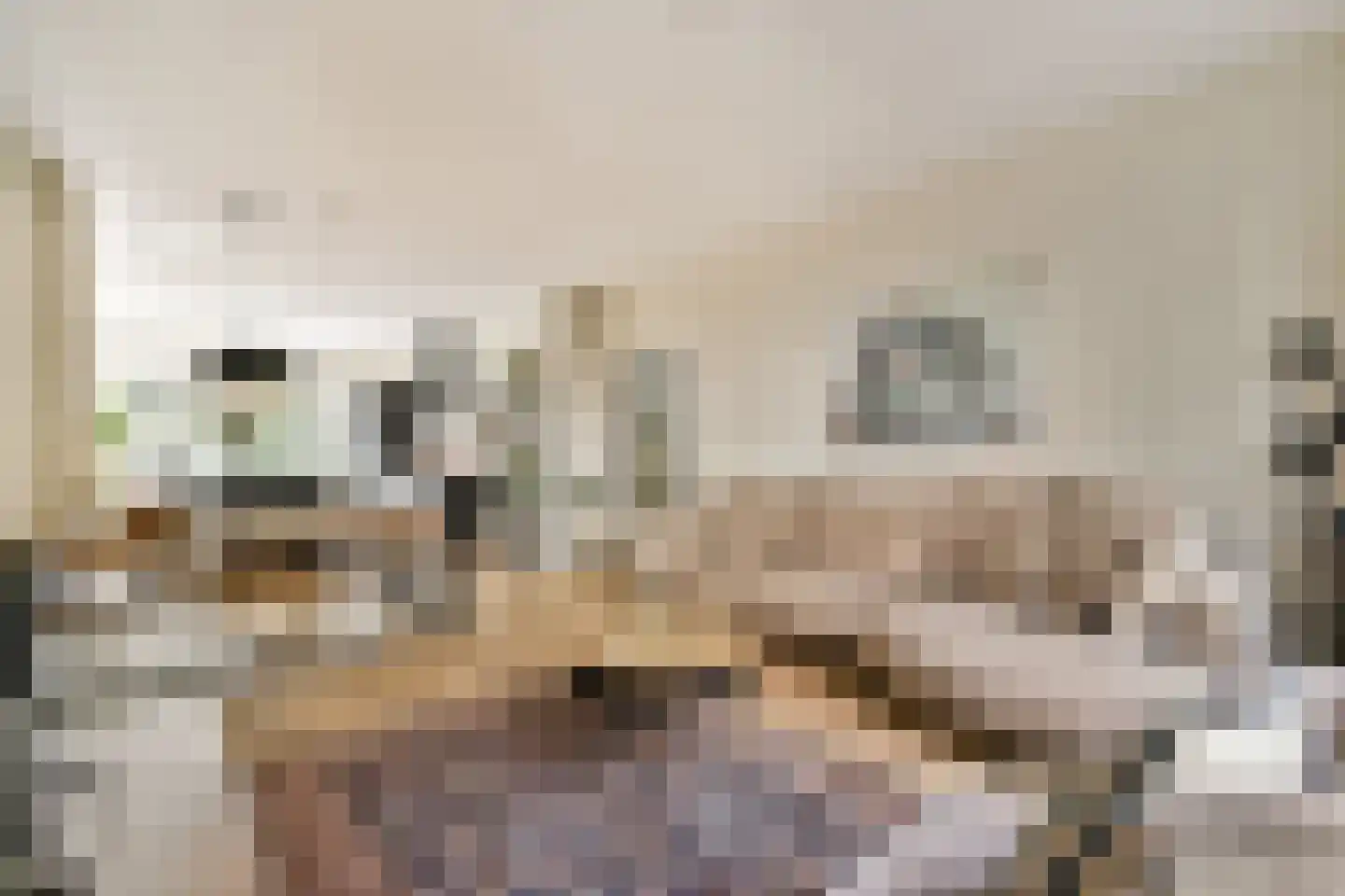 Karel du Jardinstraat 16 1 Amsterdam thumbnail 4