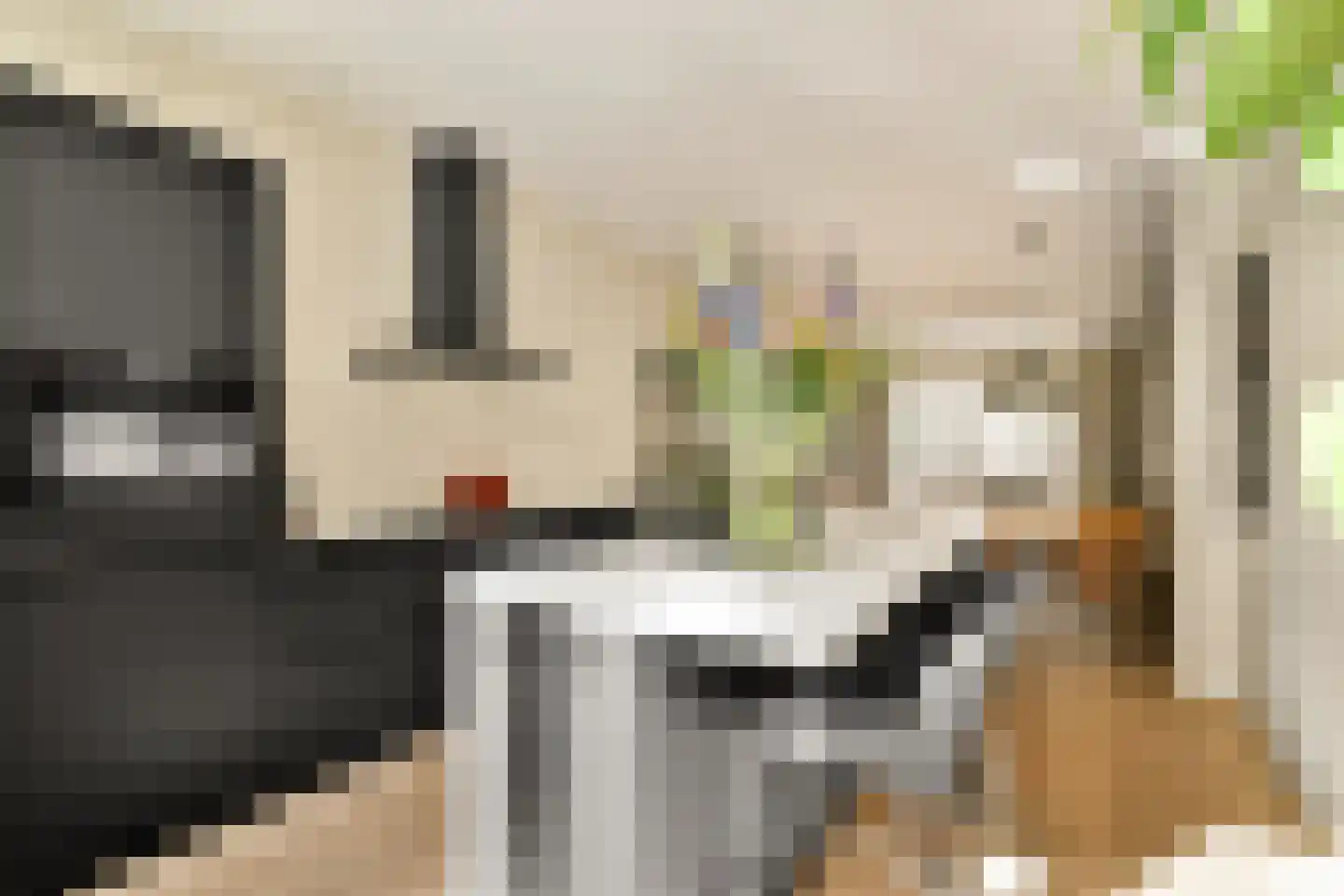 Karel du Jardinstraat 16 1 Amsterdam thumbnail 7