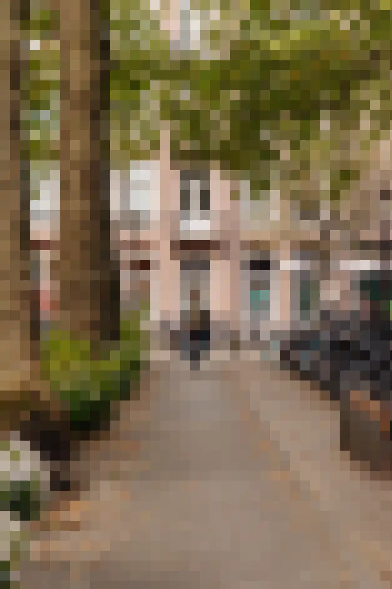 Karel du Jardinstraat 43 3 Amsterdam thumbnail 20