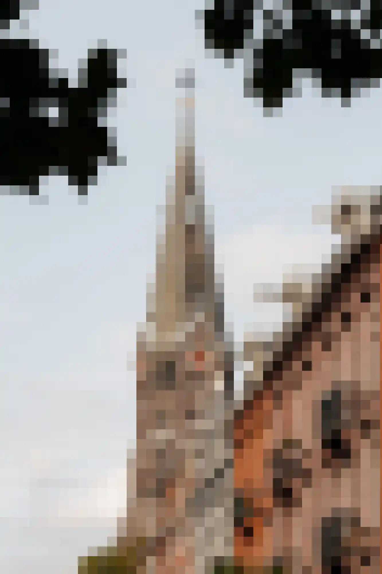 Karel du Jardinstraat 43 3 Amsterdam thumbnail 21